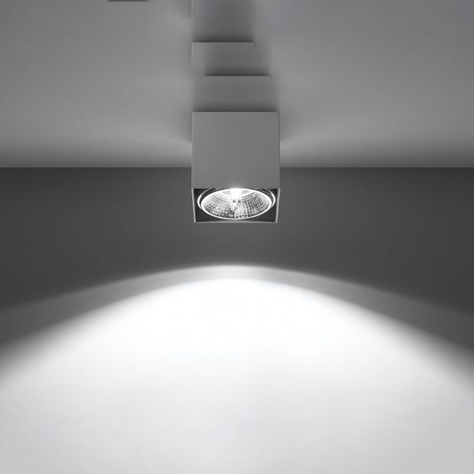 Ceiling Light Model Arvion | Luxarmonie