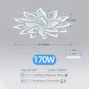 Modern Acrylic Ceiling Light Dimmable for Living Room/Bedroom β Caeleste