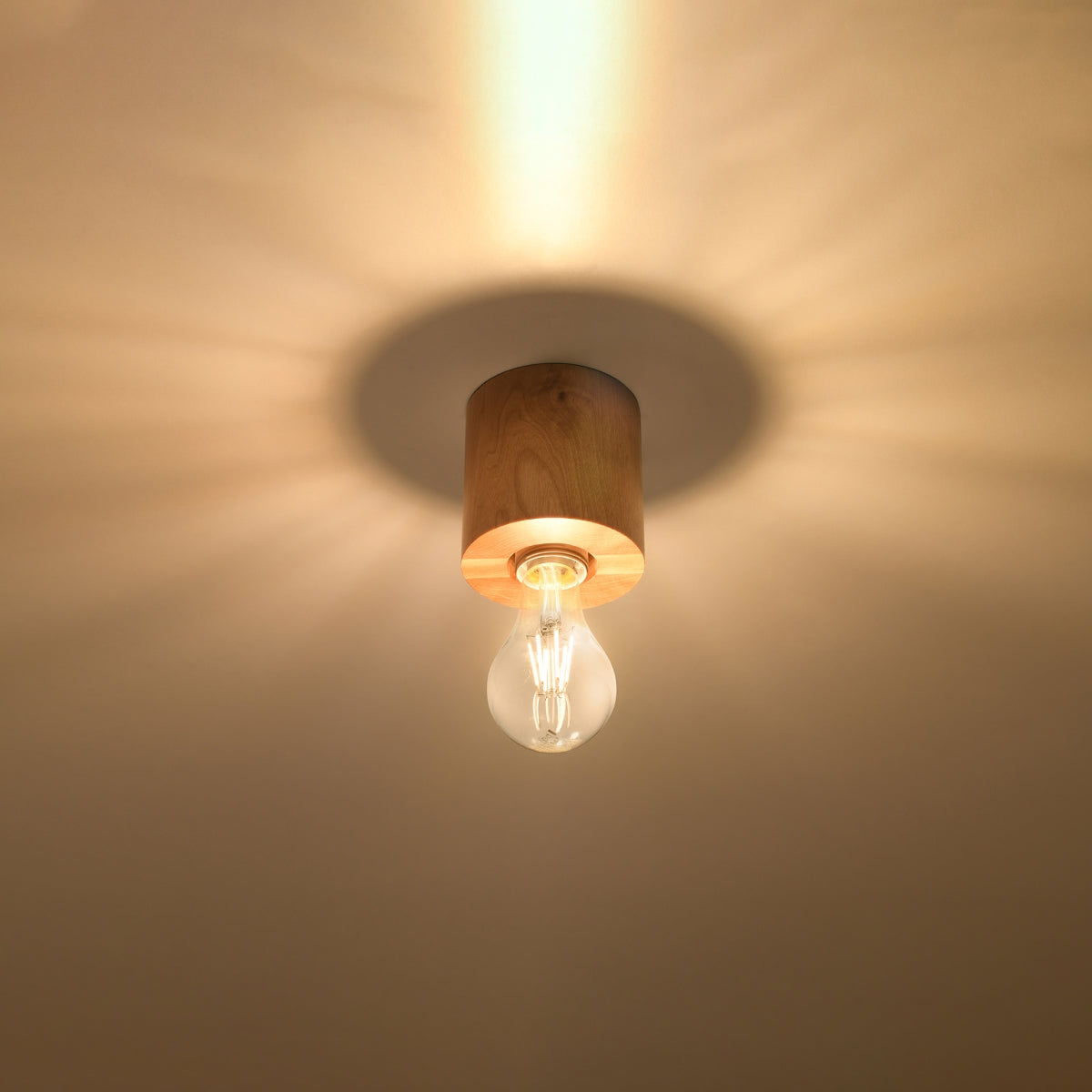 Ceiling Light Model Norvian | Luxarmonie