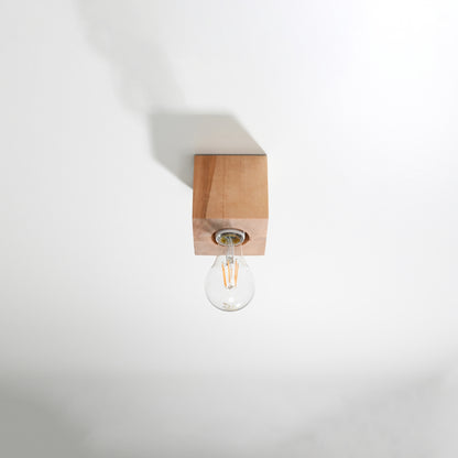 Ceiling Light Model Arvoden | Luxarmonie