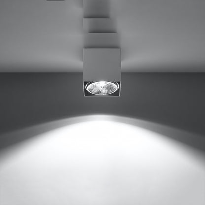 Ceiling Light Model Arvion | Luxarmonie