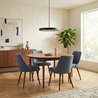 Lampe Suspendue Forme Plate Ambiance Réglable – Discus