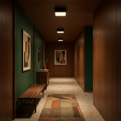 Square black minimalist ceiling light for living room – Model Narythia