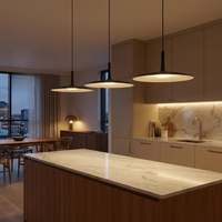 Suspension LED Polyvalent Forme Ovni Couleurs Variées – Ovni