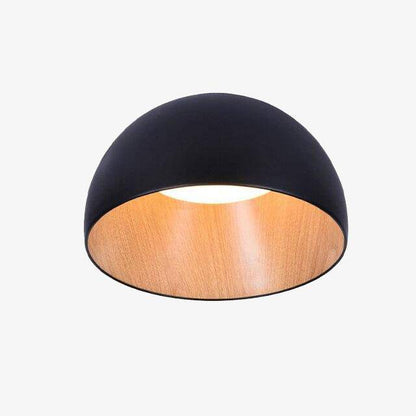 LED Ceiling Light Oval Shapes Minimalist Loft Style