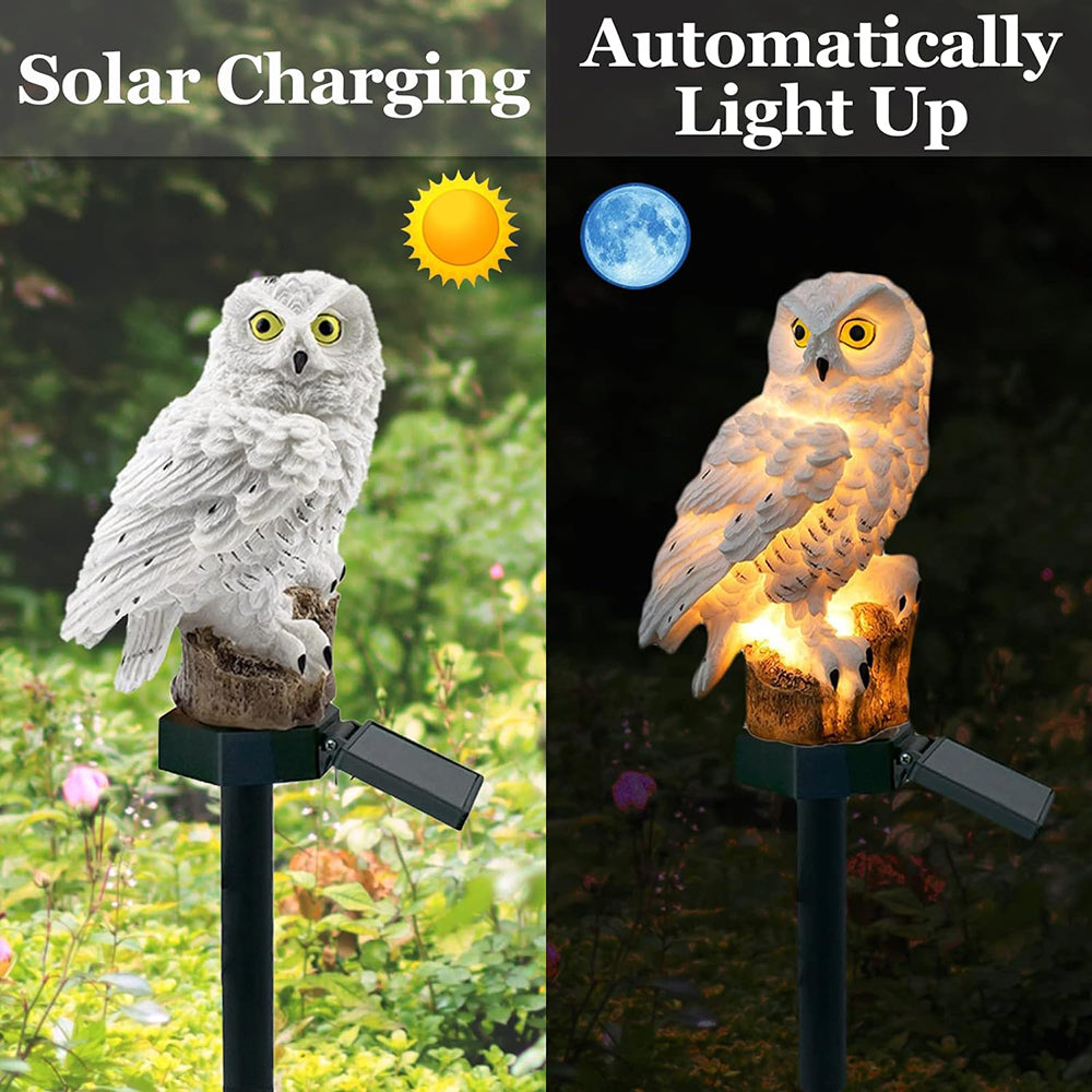 Lampe Solaire Extérieure en Forme de Hibou – Owlenza