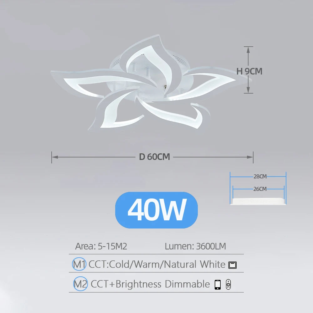 Plafonnier Acrylique Moderne Dimmable pour Salon/Chambre – Caeleste