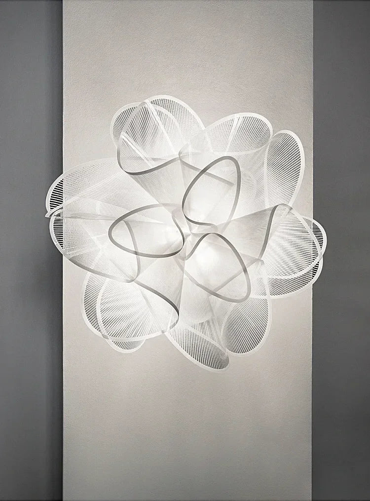 sus Novaluca photo 7 | Luxarmonie