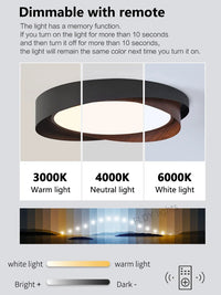 Plafonnier moderne en fer pour éclairage intérieur – Arionel