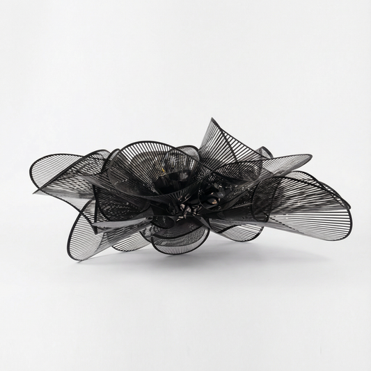 sus Novaluca | Luxarmonie