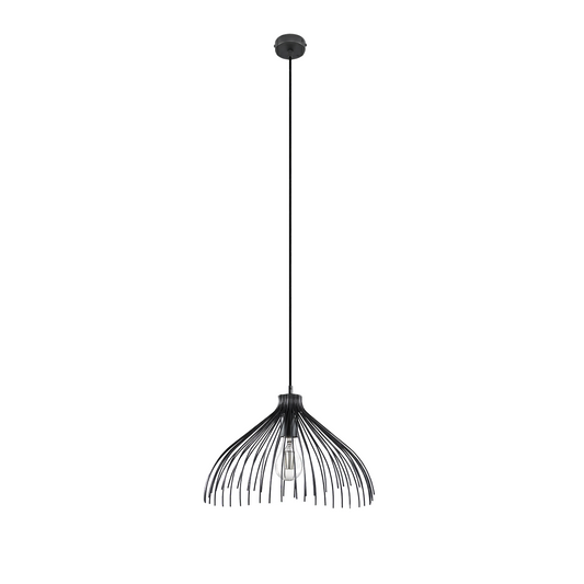 Industriële zwarte stalen hanglamp – Atheris